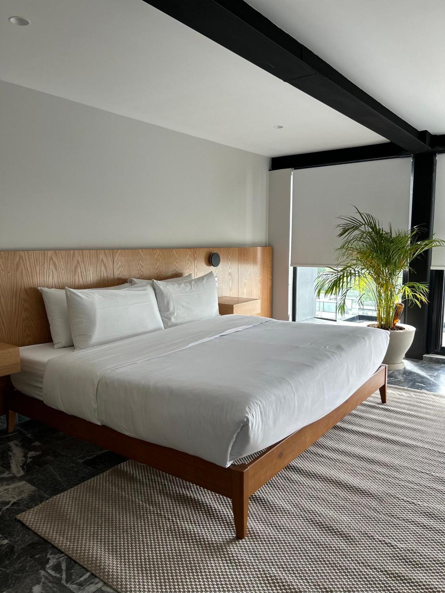 Arquimedes 138 By Wynwood House Aparthotel เม็กซิโกซิตี้ ภายนอก รูปภาพ